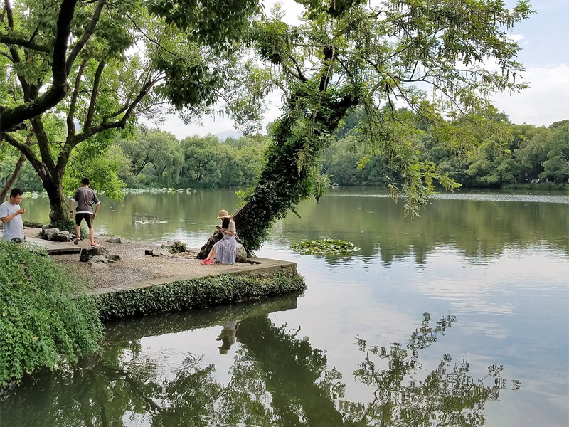 GJ216 Shanghai July 2018 Park at Hangzhou